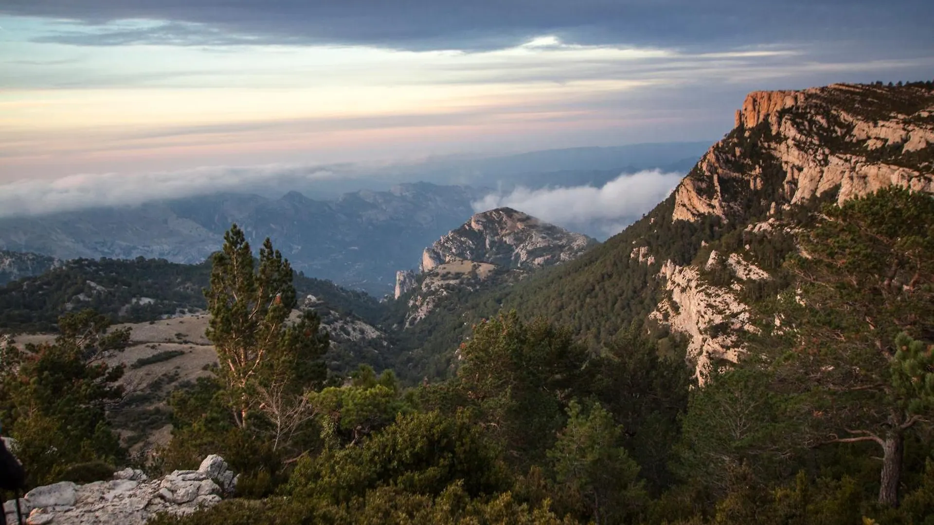 Camping Terra Alta Bot